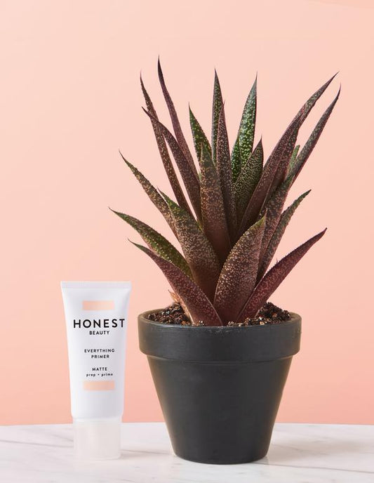 Shampoo + Body Wash - Truly Calming...